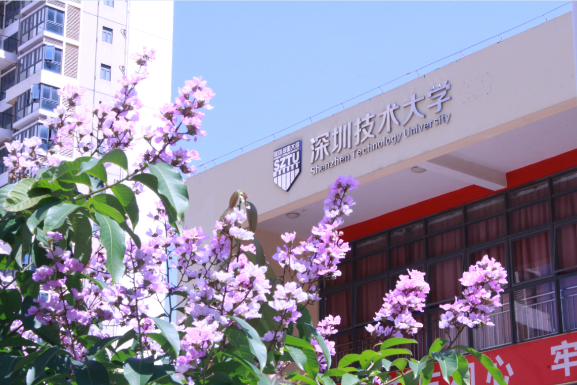 2019化妝刷團體標(biāo)準(zhǔn)啟動儀式